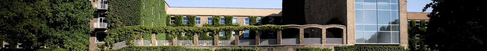 university-image