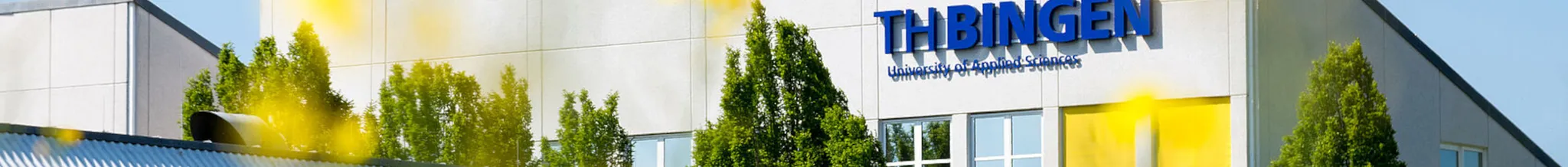 university-image