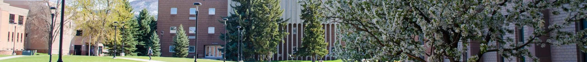 university-image