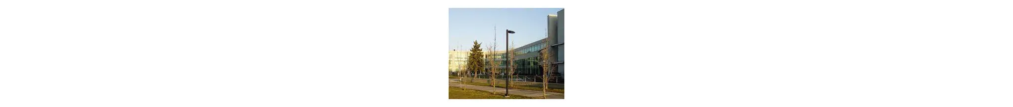 university-image