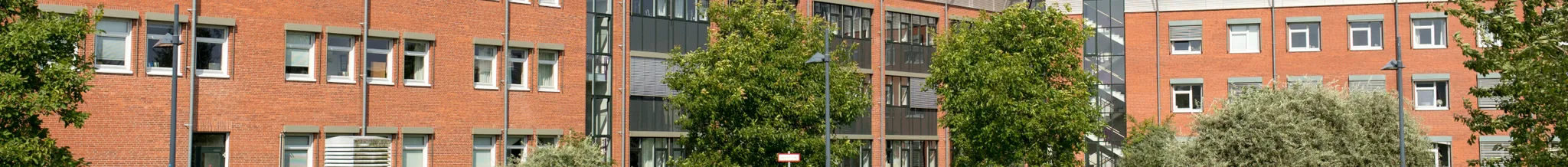 university-image