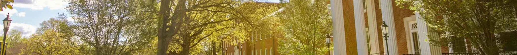 university-image