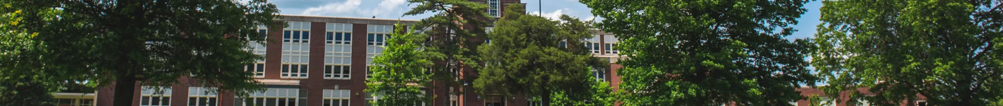 university-image