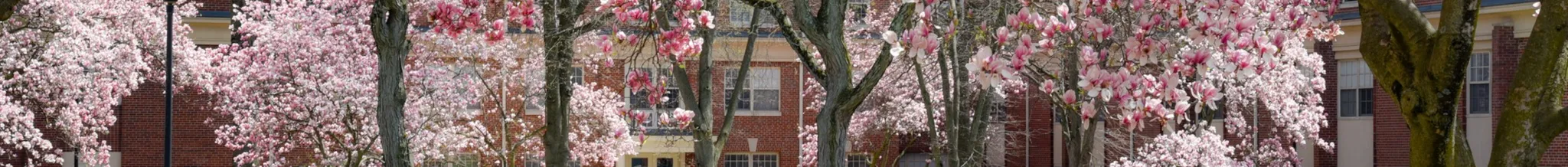 university-image