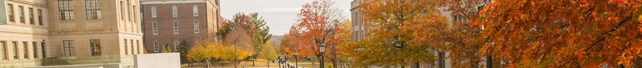 university-image