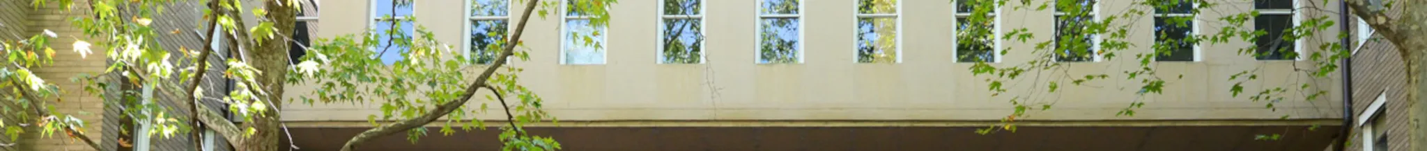 university-image