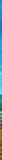 Study in Japan Logo