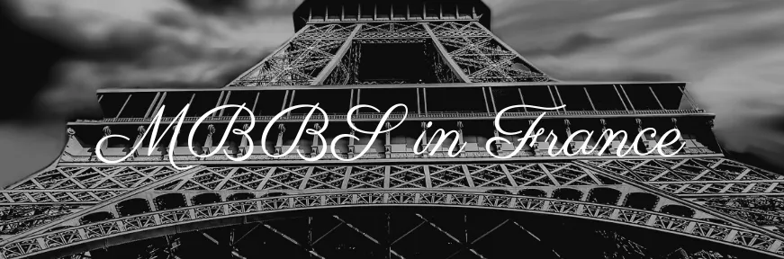 Study MBBS in France: Admission Requirements, Fees, Scholarships & Scope Image