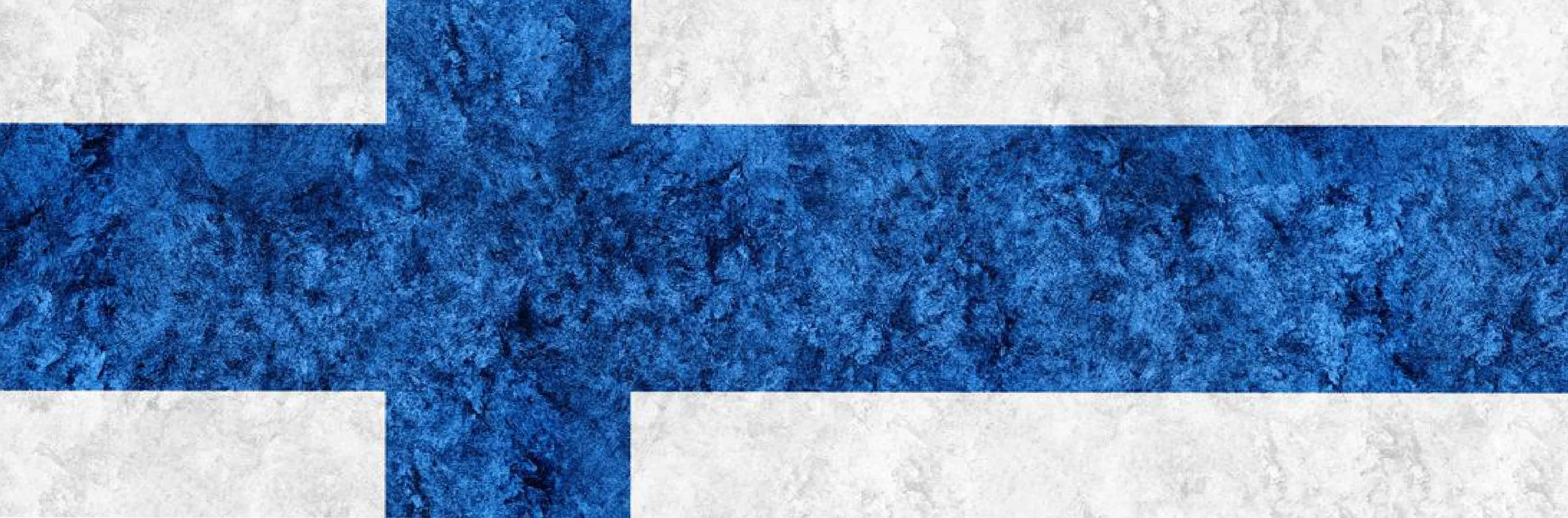 Finland To Offer More Work Hours, Easier PR Permit To Foreign Students  Image