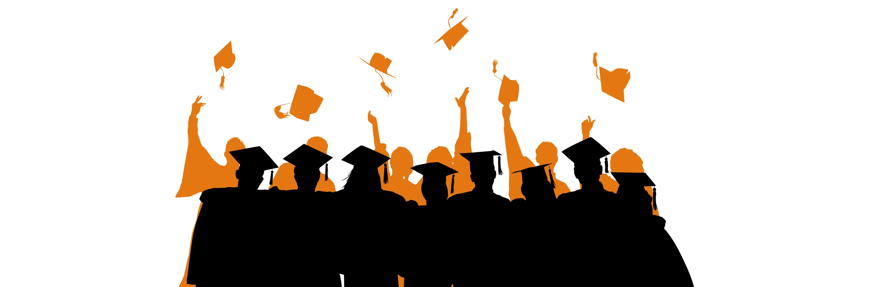 Bachelor in Spain: Courses, Universities, Application Process, Eligibility, and More Image