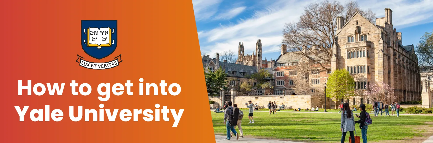 How to Get Into Yale University From India? Image
