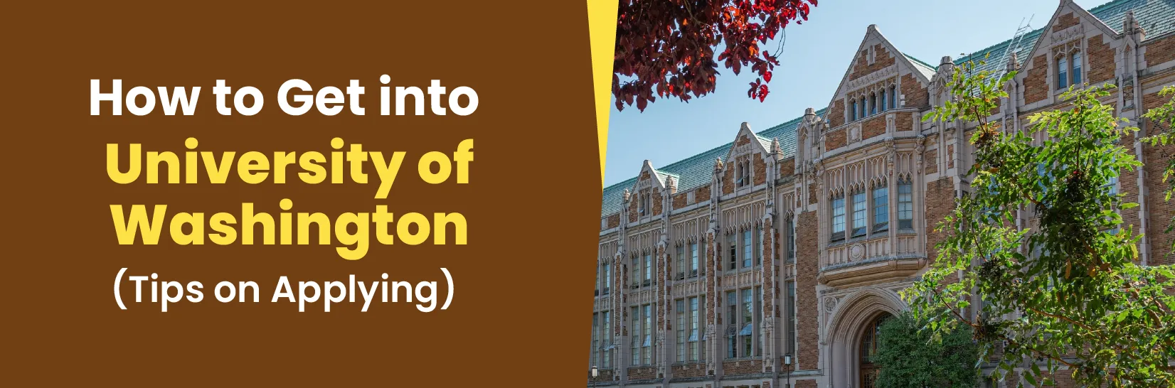 How to Get into University of Washington: Tips on Applying Image