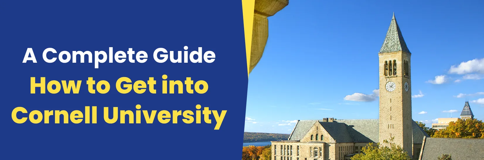 How to Get into Cornell University: A Complete Guide Image