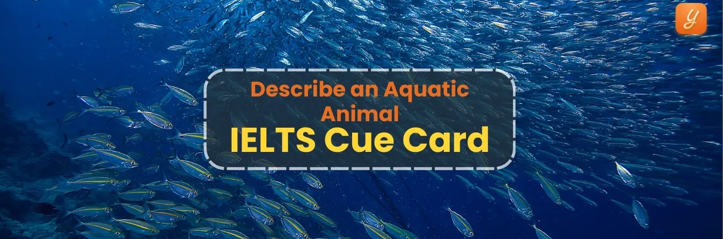 Describe an Aquatic Animal - IELTS Cue Card Image