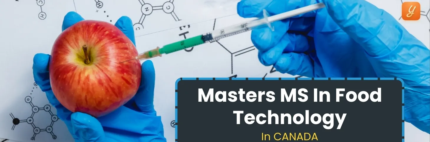 Masters in Food Technology in Canada: Top 5 Universities, Requirements, Fees, Scholarships and Jobs Image
