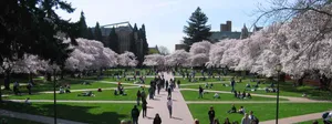 university-image