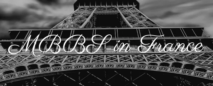 MBBS in France 2026: Eligibility, Fees, Scholarships & Scope Image
