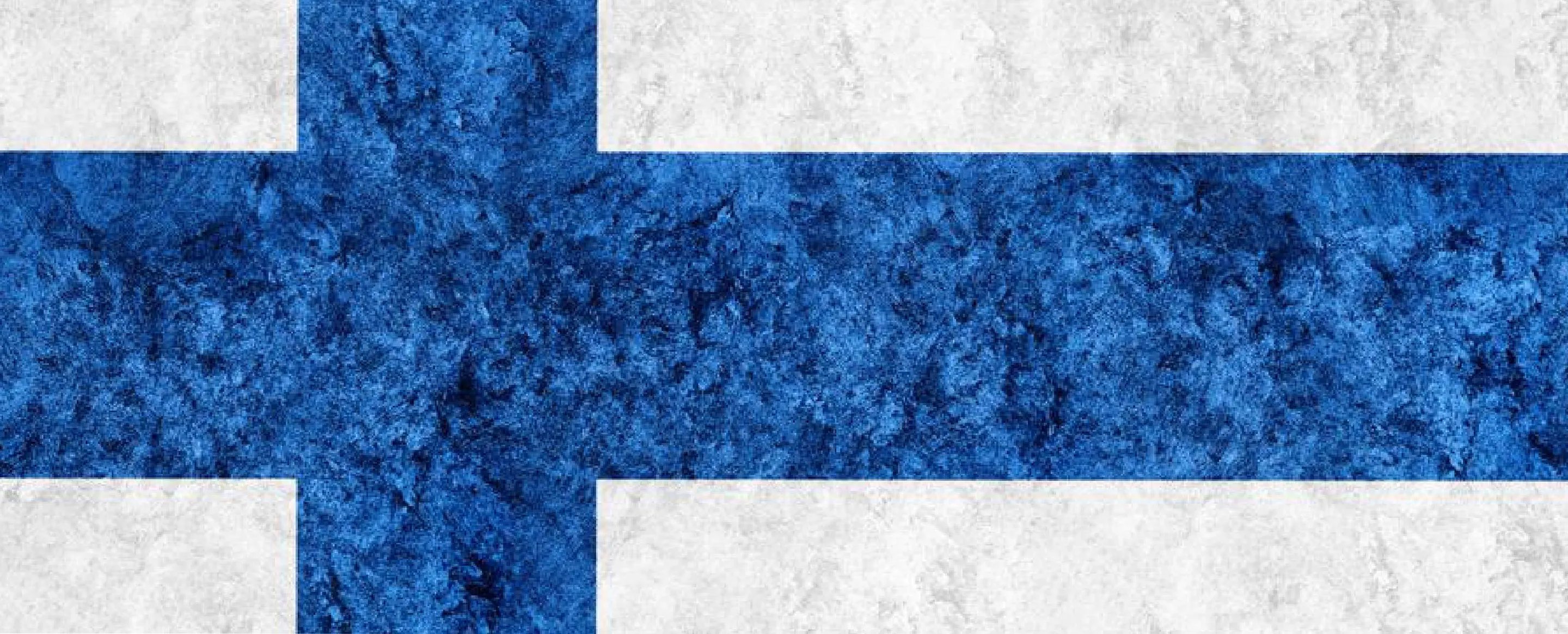 Finland To Offer More Work Hours, Easier PR Permit To Foreign Students Image