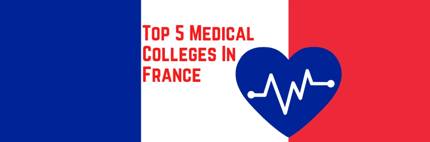 Top 5 Medical Colleges In France For International Students In 2024 Image
