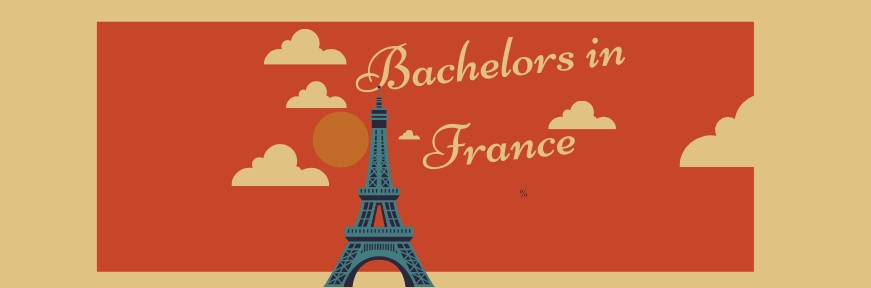Bachelors in France: Best Courses, Fees, Requirements, Scholarships & Scope Image