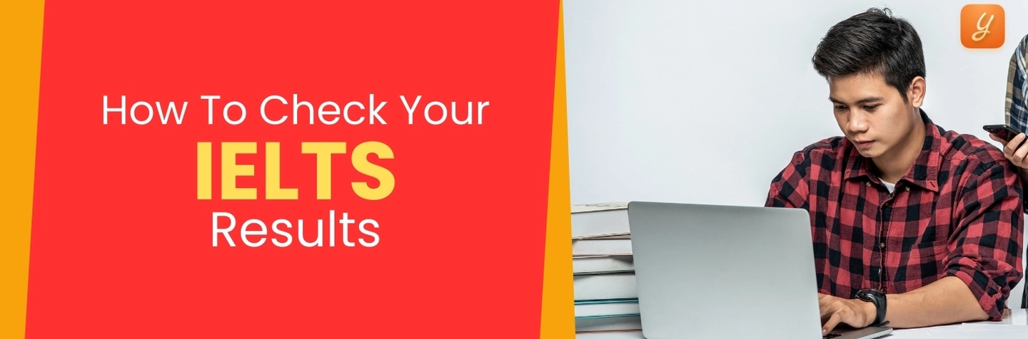 How To Check Your IELTS Results Image