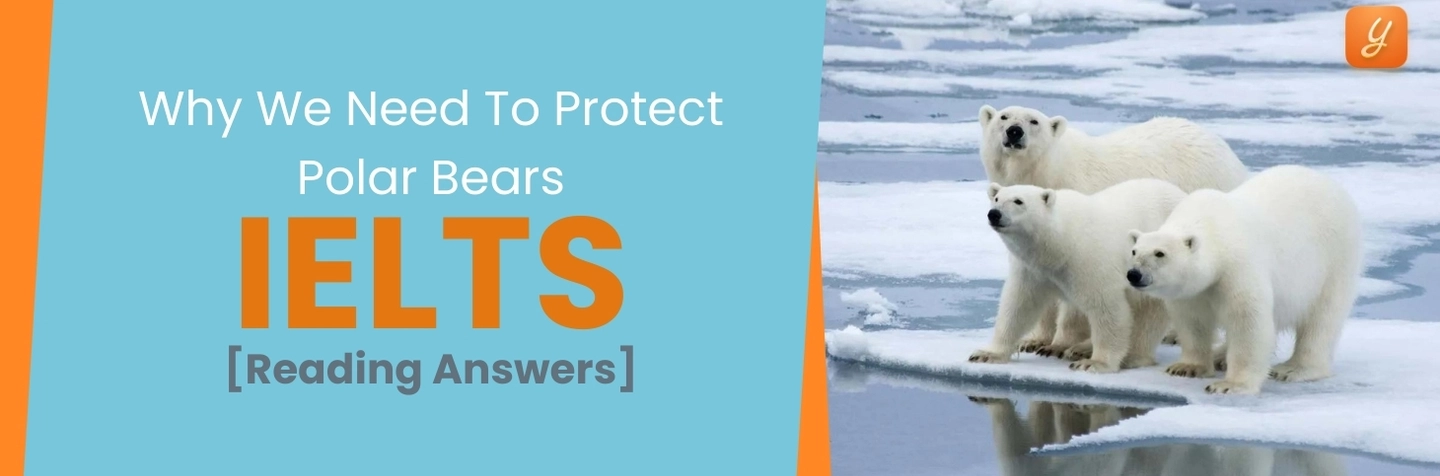 Why We Need to Protect Polar Bears - IELTS Reading Answers Image