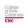 Certificate in Information Technology and Networking - logo