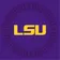MS in Leadership & Human Resource Development at Louisiana State University - logo