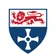 MSc in Data Science - logo
