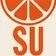 MS in Library and Information Science - logo