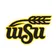MS in Biomedical Engineering at Wichita State University - logo