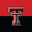 MS in Electrical Engineering logo