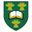 MEng in Biomedical Engineering logo