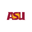 Masters in Accountancy and Data Analytics logo