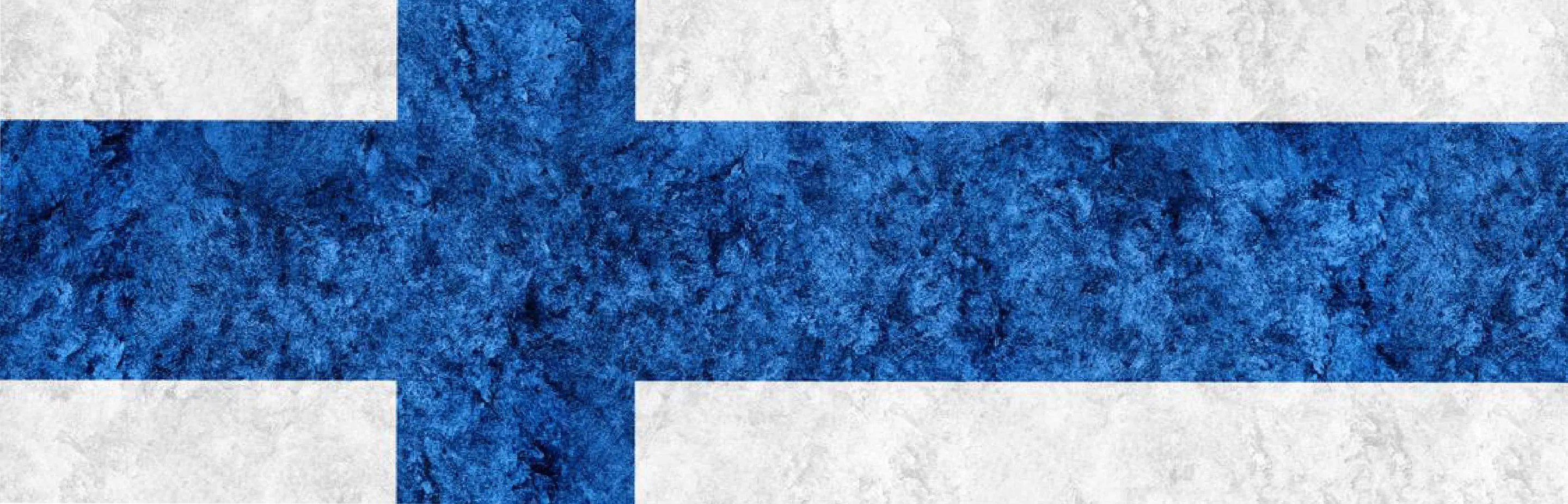Finland To Offer More Work Hours, Easier PR Permit To Foreign Students  Image