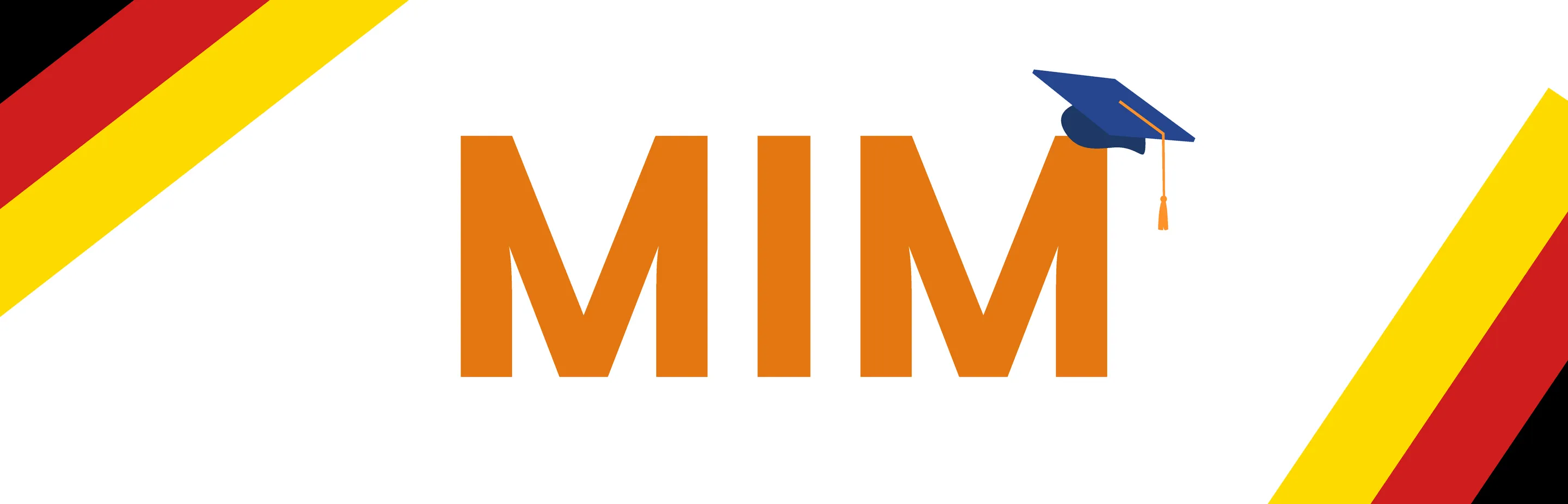 MIM in Germany: Everything You Need to Know About the MIM Course in Germany Image