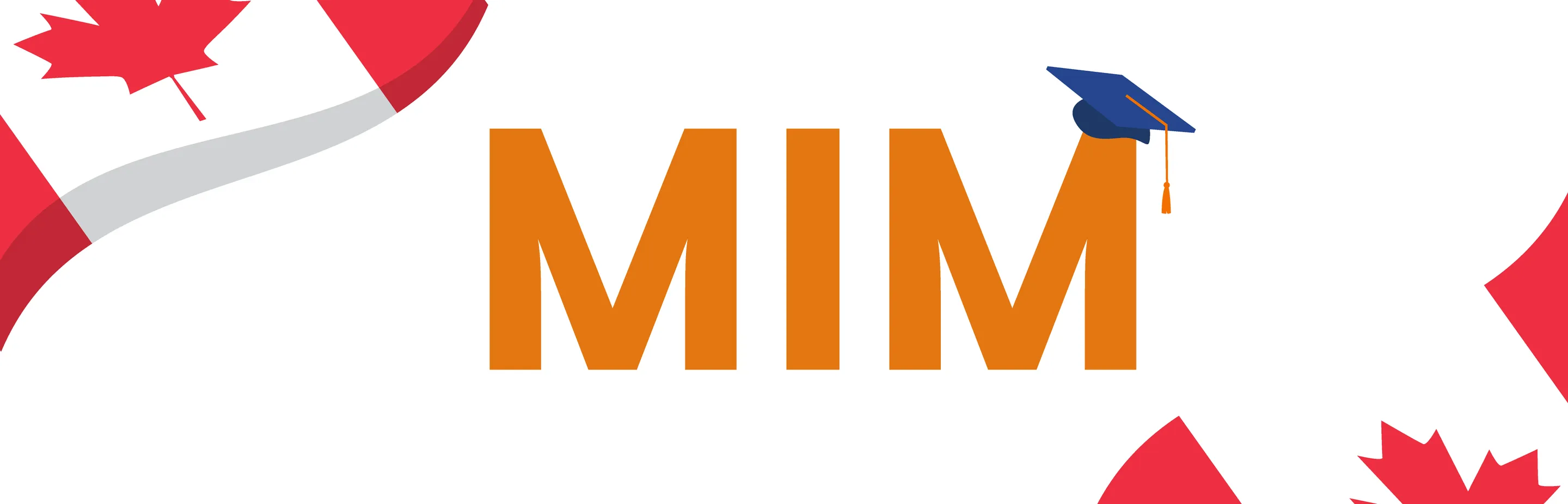Complete Guide to MIM in Canada: Top MIM Universities in Canada, Admission Requirements, Cost & More Image