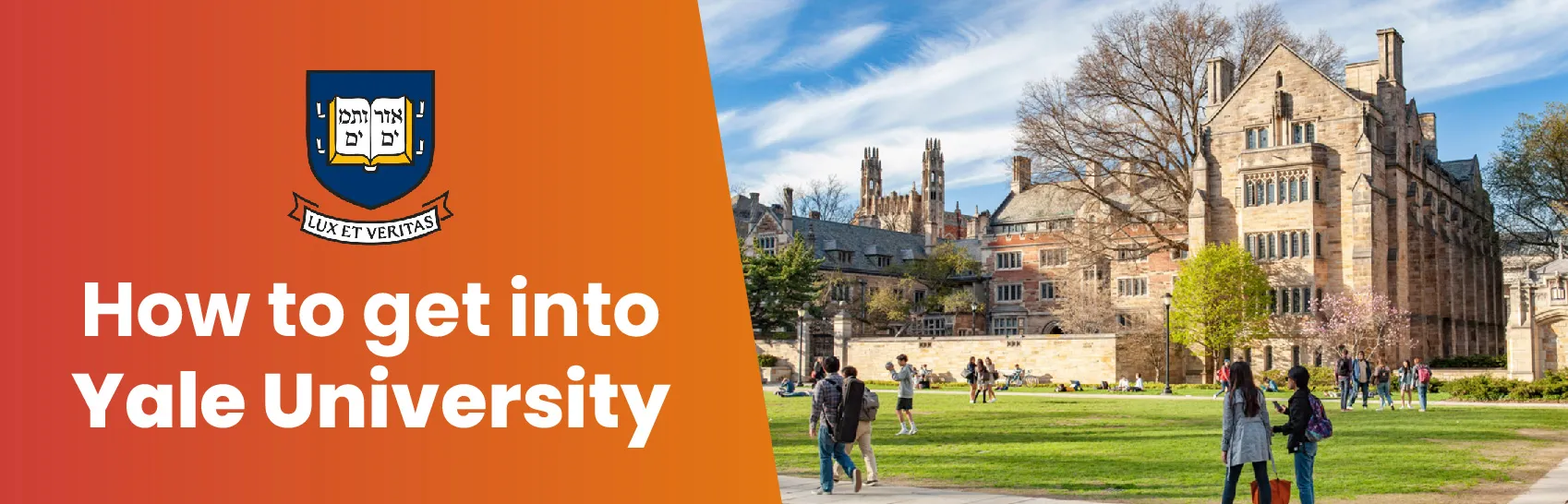 How to Get Into Yale University From India? Image